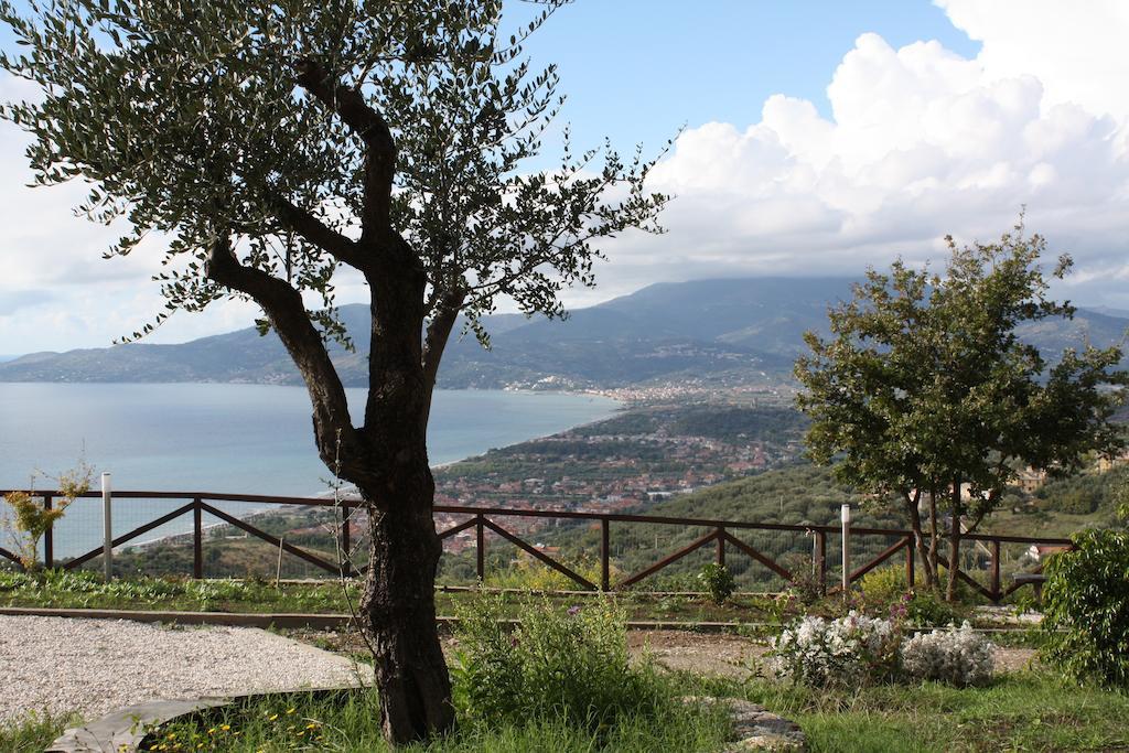 Apartment Serra D'elci